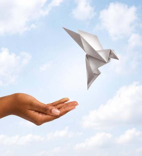 brown-womans-hand-paper-bird-sky